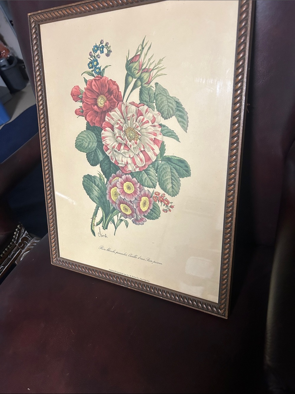Vintage Floral Botanical Print in Brown Frame - Red, Pink, Green - Picture 3 of 11